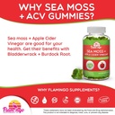 sea-moss-gummies-with-apple-cider-vinega-3.jpg