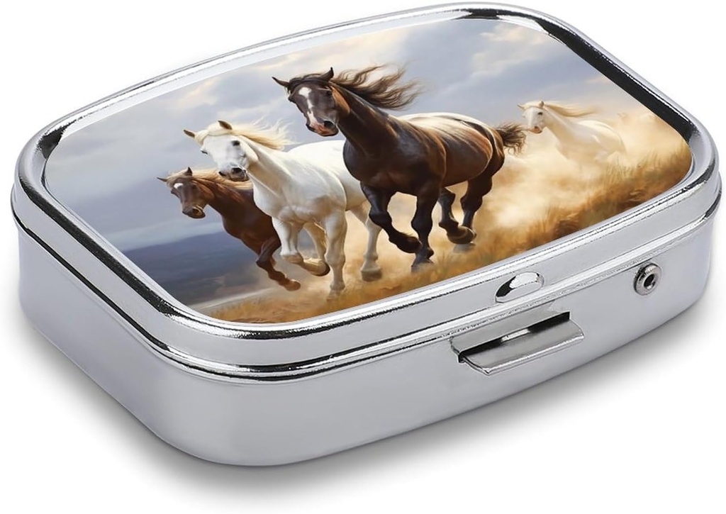horses-running-art-pill-box-2-compartmen-4.jpg