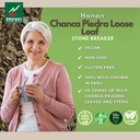 hanan-chanca-piedra-loose-leaf-herbal-te-5.jpg