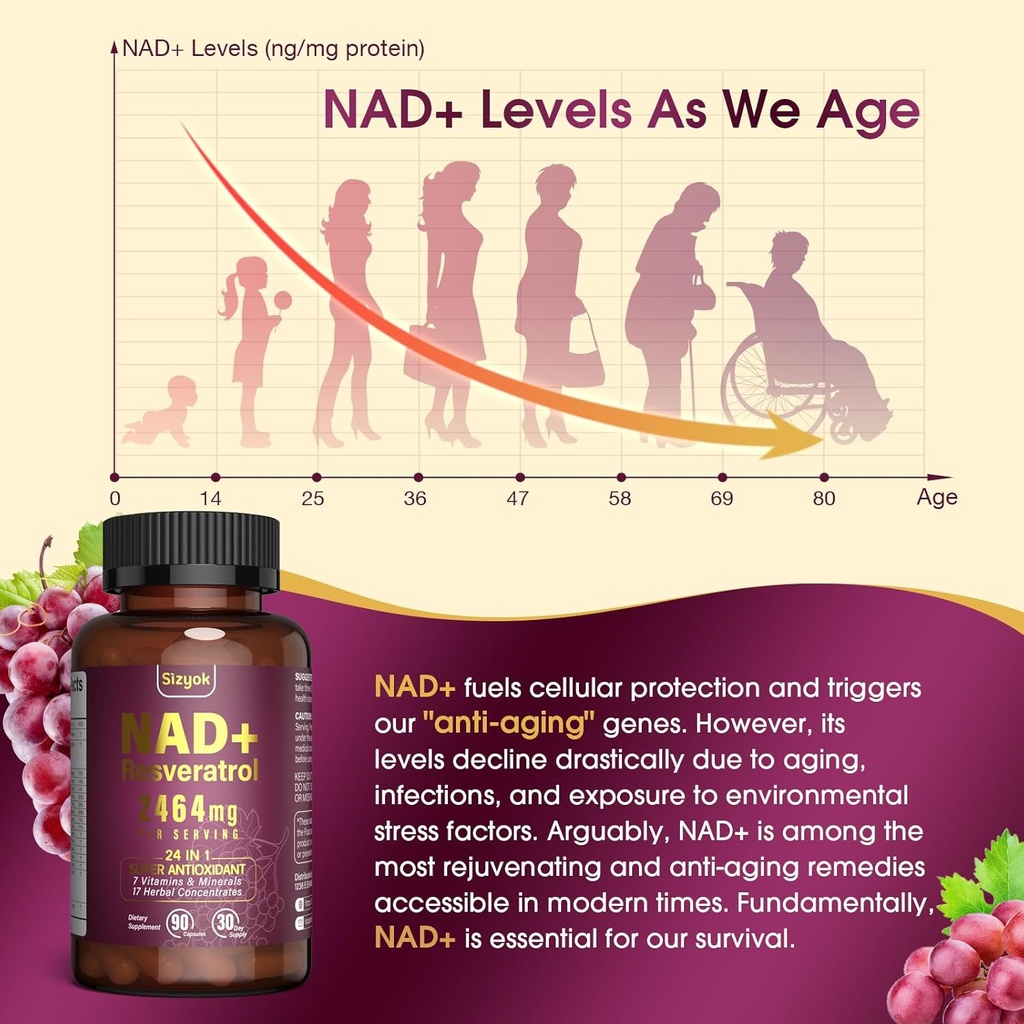 nad-supplement-liposomal-nad-supplement--6.jpg