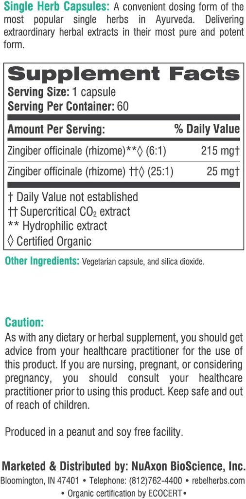 rebel-herbs-ginger-capsules-powerful-dua-5.jpg
