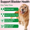 urinary-tract-for-dogs-dog-urinary-tract-2.jpg