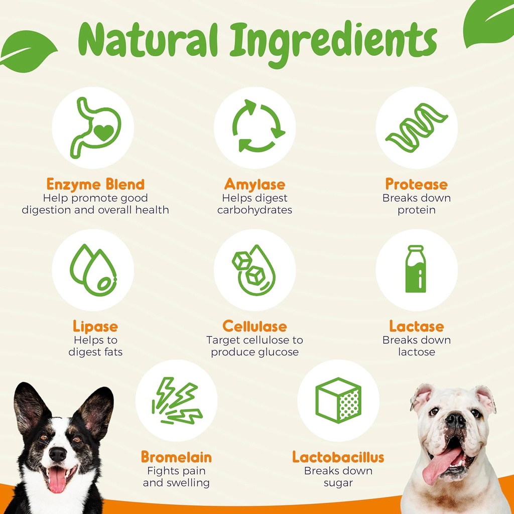 inner-paw-probiotics-for-dogs-digestive--5.jpg
