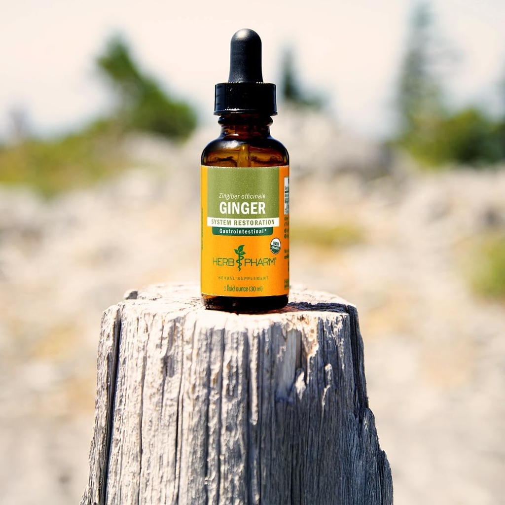 herb-pharm-certified-organic-ginger-liqu-4.jpg