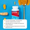 redd-remedies-curcumin-t4-advanced-turme-5.jpg