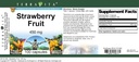 strawberry-fruit---450-mg-100-capsules-z-3.jpg