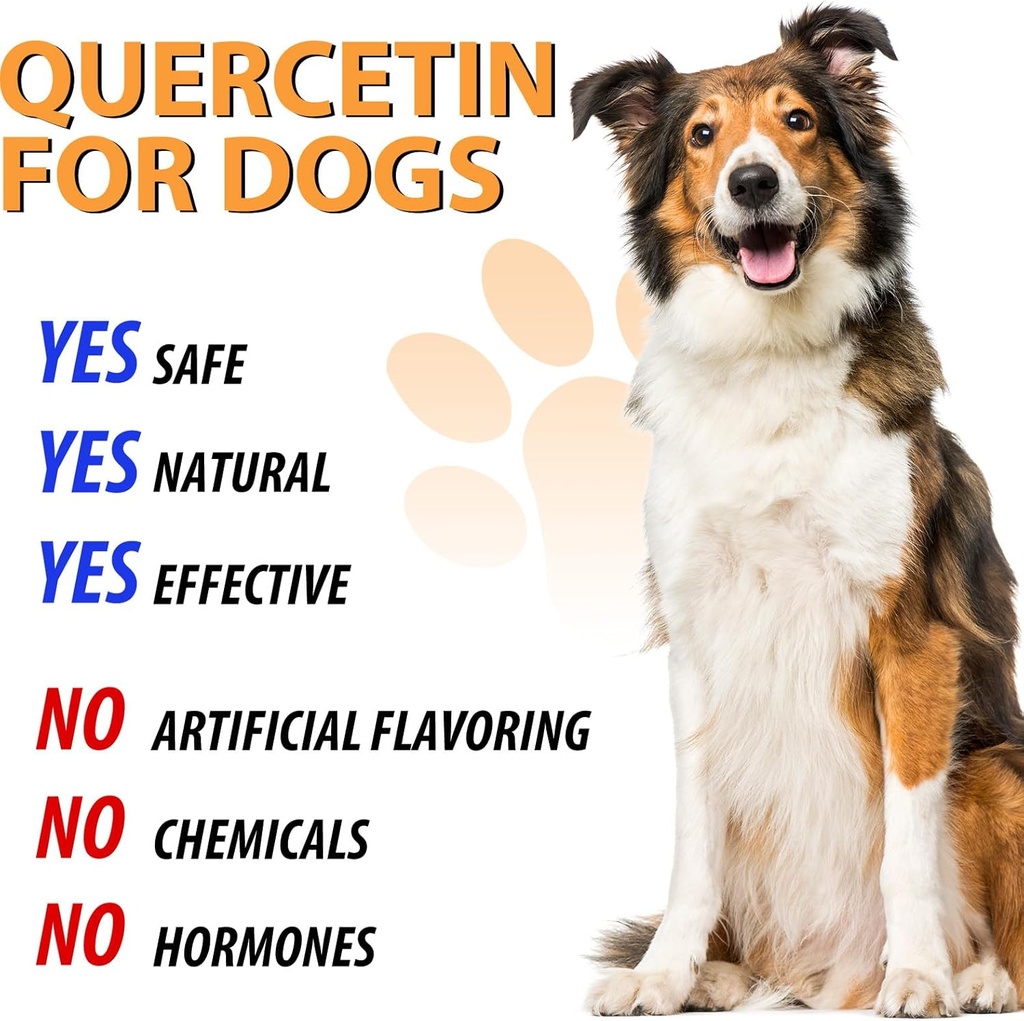 quercetin-for-dogs-dogs-quercetin-supple-5.jpg
