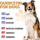 quercetin-for-dogs-dogs-quercetin-supple-5.jpg