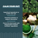 ancient-nutrition-gut-health-supplement--4.jpg