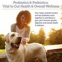rx-vitamins-rx-biotic---probiotic-powder-2.jpg