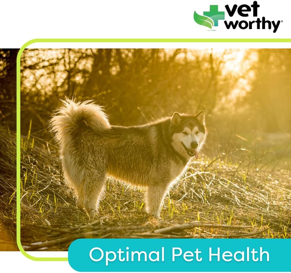 vet-worthy-adult-multi-vitamins---multiv-4.jpg