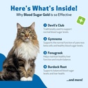 pet-wellbeing-blood-sugar-gold-cats---ho-6.jpg