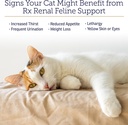 rx-vitamins-renal-feline---cat-kidney-su-3.jpg