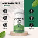 spearmint-leaf-capsules-1000mg-powder-na-6.jpg
