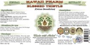blessed-thistle-alcohol-free-liquid-extr-2.jpg