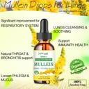 mullein-drops-for-lungs-lung-detox-clean-3.jpg