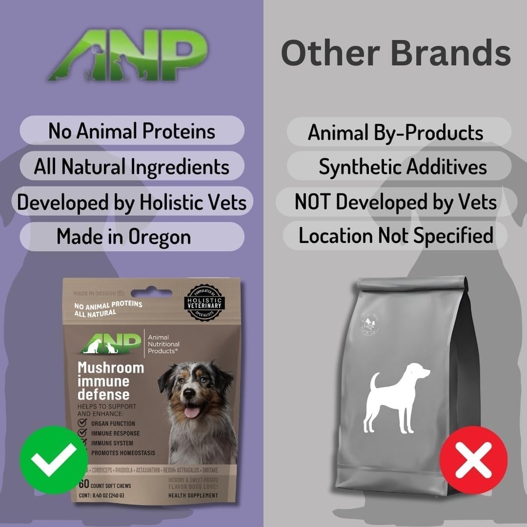 anp-enhance-your-dogs-health-with-mushro-5.jpg