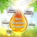 afc-japan-brazilian-green-propolis-extra-5.jpg