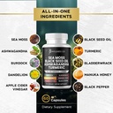 sea-moss-black-seed-oil-ashwagandha-turm-2.jpg