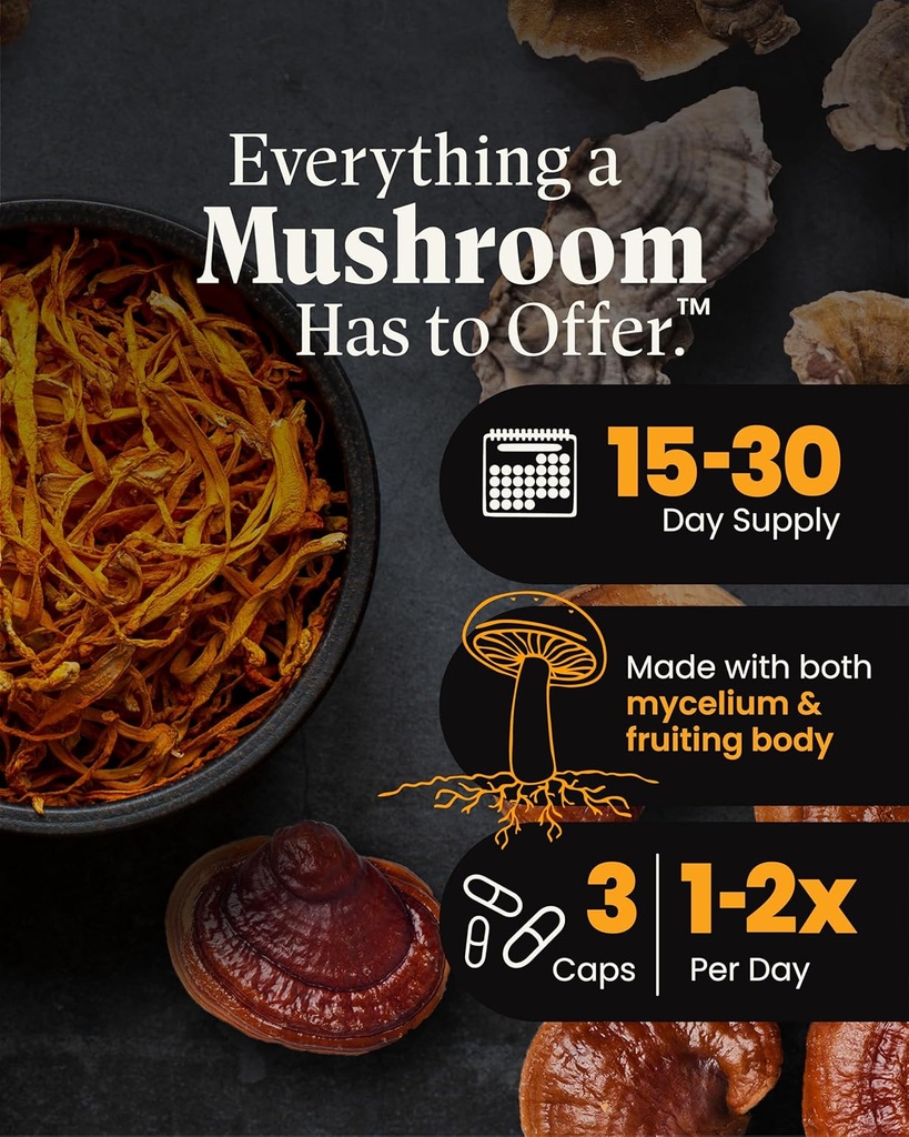 mushroom-wellness-everyday-10-organic-10-3.jpg