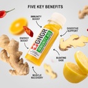 gngr-immunity-aid-organic-ginger-lemon-h-2.jpg