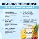 trueseamoss-irish-sea-moss-gummies-with--4.jpg