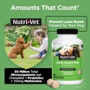 nutri-vet-grass-guard-chewables-lawn-bur-3.jpg