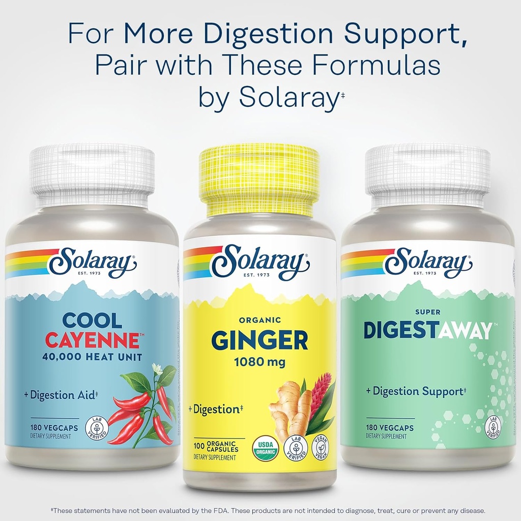 solaray-organic-ginger-1080-mg---organic-6.jpg