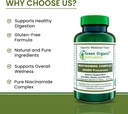 green-organic-supplements-niacinamide-ni-4.jpg