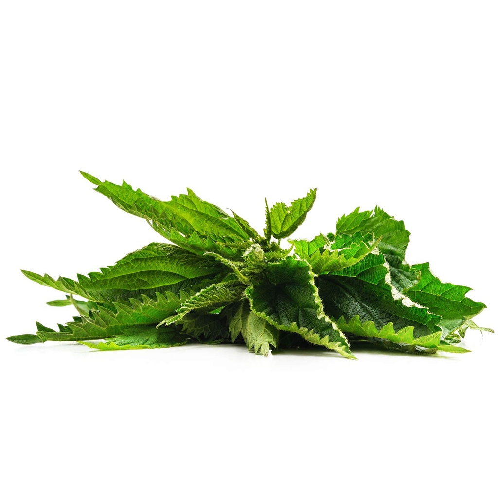 zokiva-nutritionals---nettle-leaf-tea-ba-5.jpg
