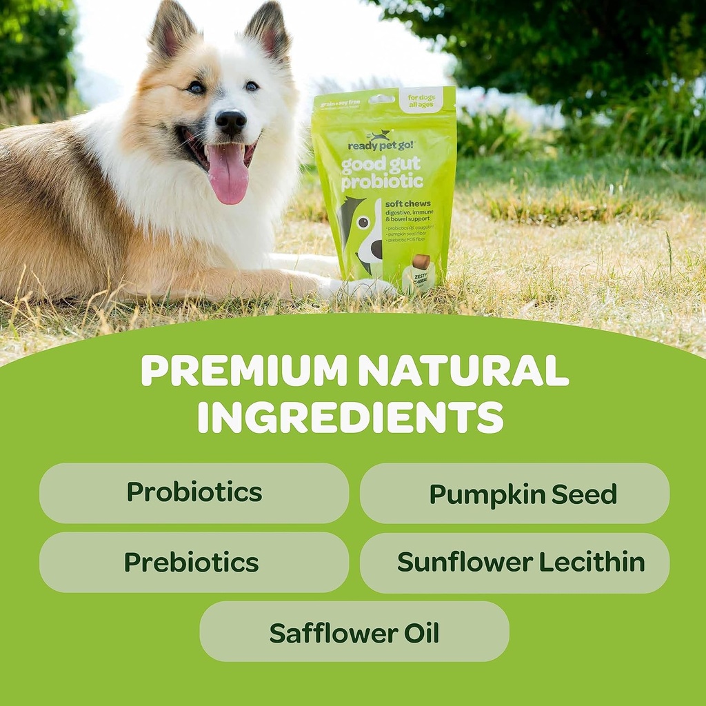 probiotic-chews-for-dogs-gut-health-tast-2.jpg