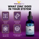 wellnessone-liquid-zinc-adult-multivitam-4.jpg