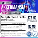akkermansia-probiotic-supplement---2-bil-2.jpg