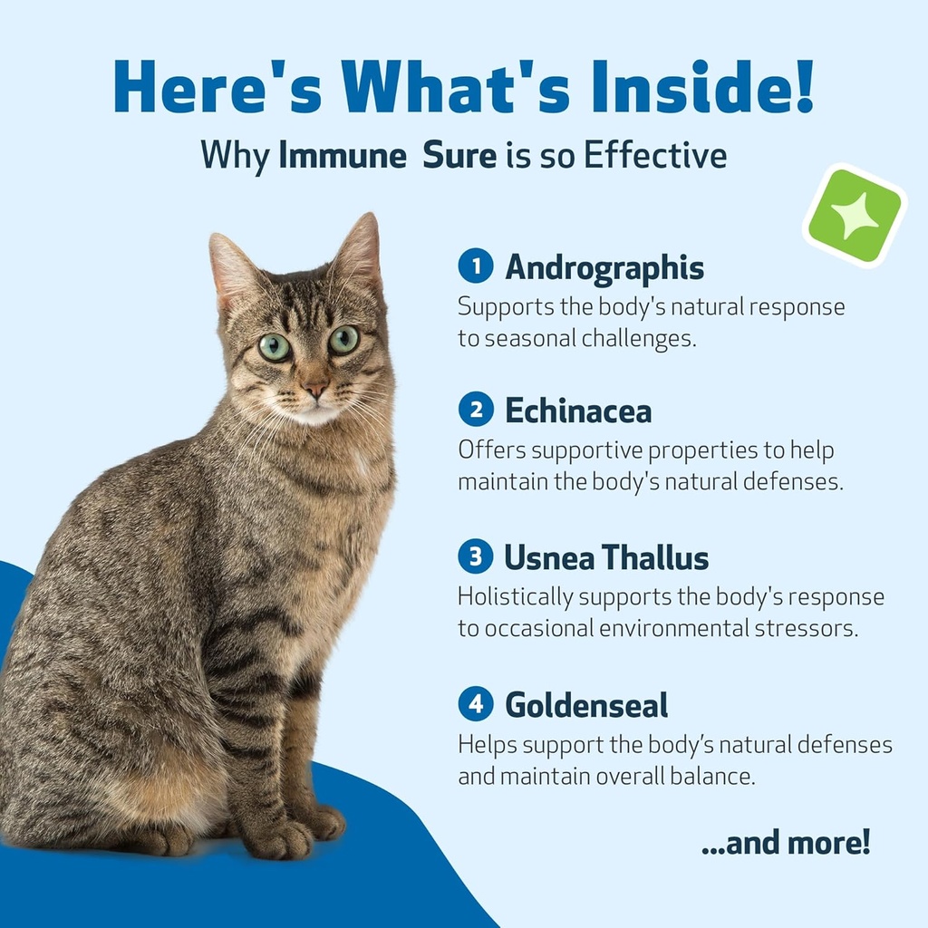 pet-wellbeing-immune-sure-for-cats---sup-6.jpg