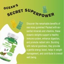 sea-moss-gummies-with-vitamin-for-vegan--4.jpg