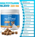 dog-multivitamin-chewable-with-glucosami-4.jpg