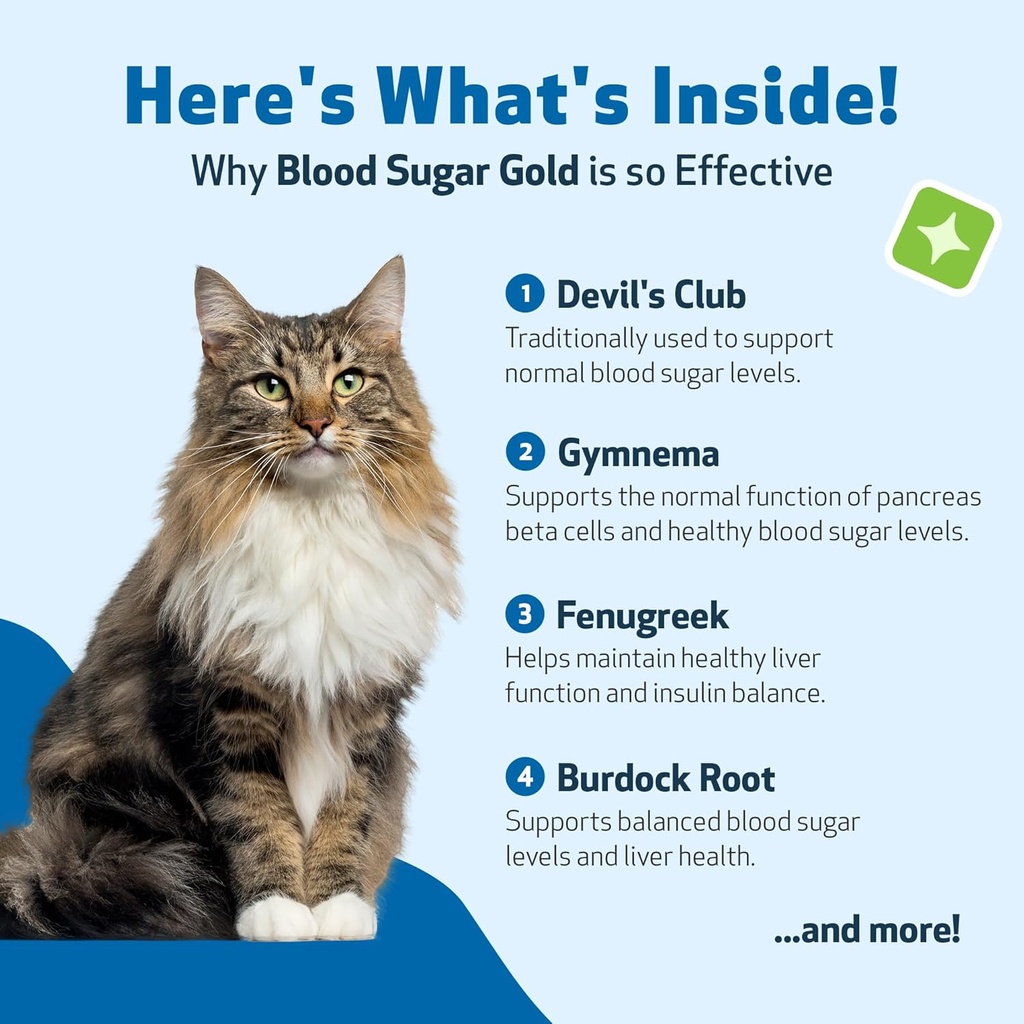 pet-wellbeing---blood-sugar-gold-for-cat-6.jpg