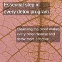 blood-cleansing-lifeboost-tea-organic-cl-5.jpg
