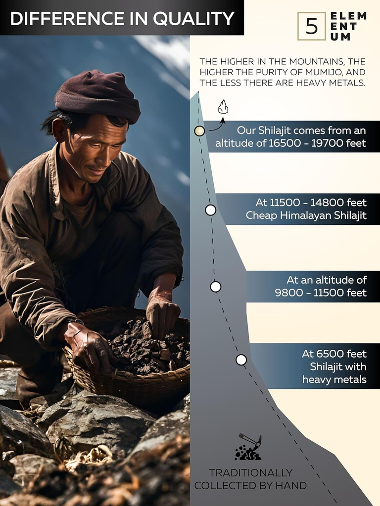 shilajit-pure-himalayan-organic-shilajit-6.jpg