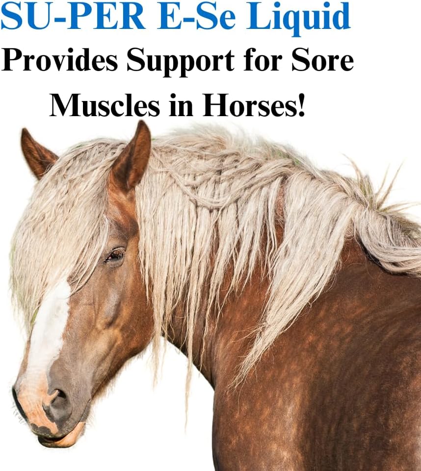 su-per-e-se-horses-antioxidant-supplemen-2.jpg