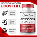 1-pack-easy-flow-glycogen-easyflow-glyco-4.jpg