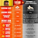 creatine-hcl-capsules-with-hmb---workout-3.jpg