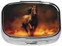 pill-box-flame-horse-square-pill-case-fo-6.jpg