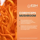 e2h-turkey-tail-cordyceps-extracts---imm-2.jpg
