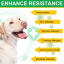 antibiotics-for-dogsdog-multivitamindog--6.jpg