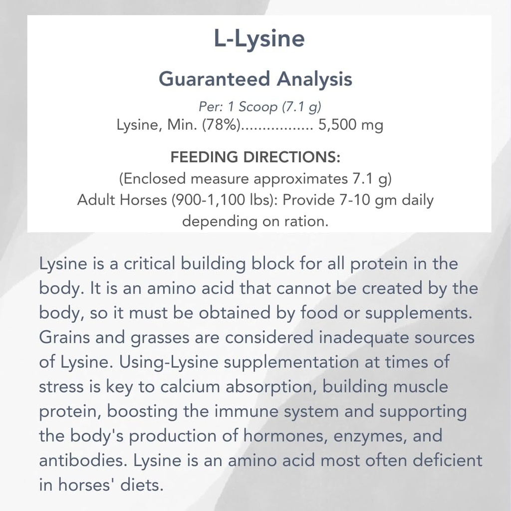 l-lysine-5lb-for-equine-muscleimmune-sup-3.jpg