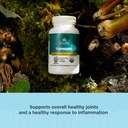 ancient-nutrition-regenerative-organic-c-2.jpg