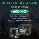 sennasi-600-mg-shilajit-resin---shilajit-3.jpg