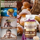 3000mg-mushroom-complex-gummies-10-blend-5.jpg