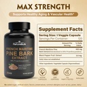french-maritime-pine-bark-extract-400-mg-3.jpg
